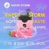 【VAPOR STORM風暴拋棄式】 一次性電子菸 可充電7500口抛棄式