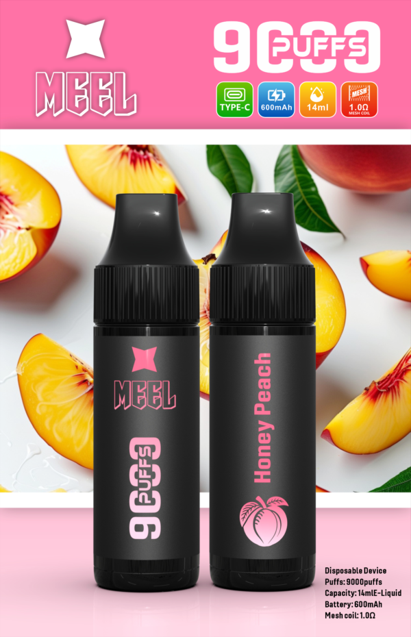 1_a203696c-0c85-466c-9831-dd6853876ccf 【Meel 9000口拋棄式】 新款puffs電子煙 9種口味