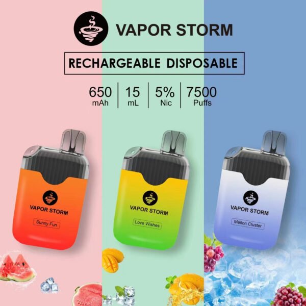 【VAPOR STORM風暴拋棄式】 一次性電子菸 可充電7500口抛棄式