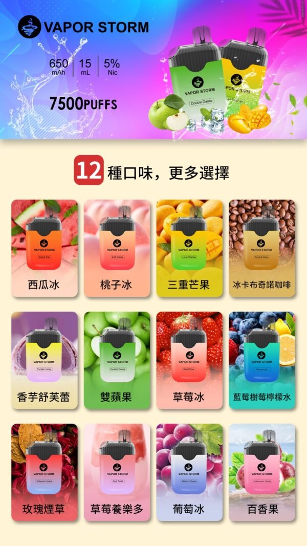 【VAPOR STORM風暴拋棄式】 一次性電子菸 可充電7500口抛棄式
