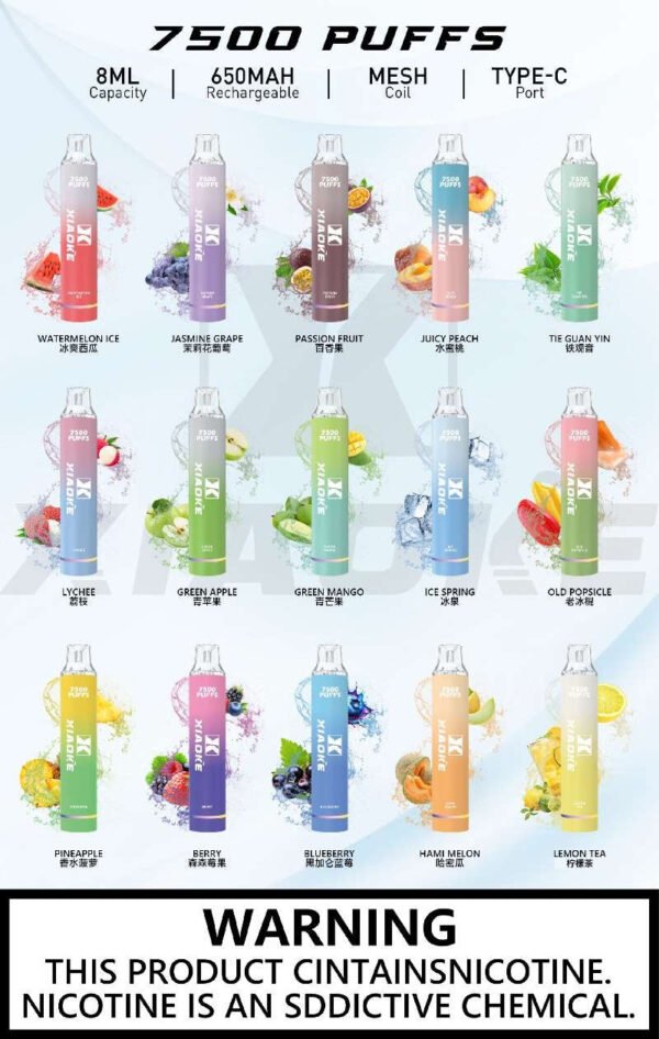 【XIAOKE梟客拋棄式】 新款一次性發光電子煙 多種口味電子霧化棒