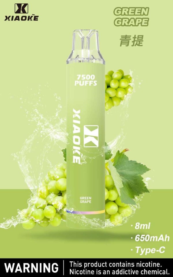【XIAOKE梟客拋棄式】 新款一次性發光電子煙 多種口味電子霧化棒
