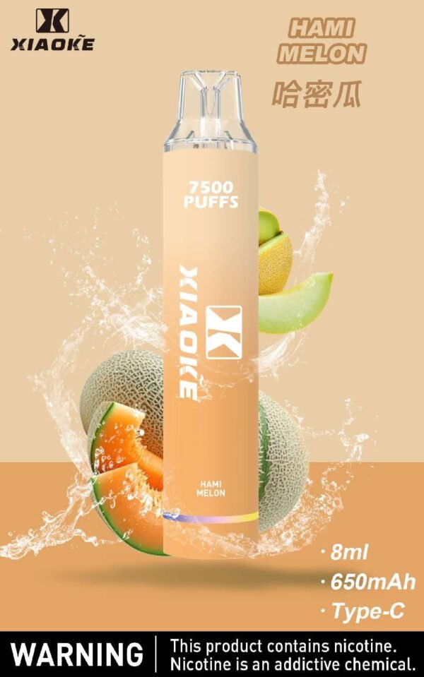 【XIAOKE梟客拋棄式】 新款一次性發光電子煙 多種口味電子霧化棒