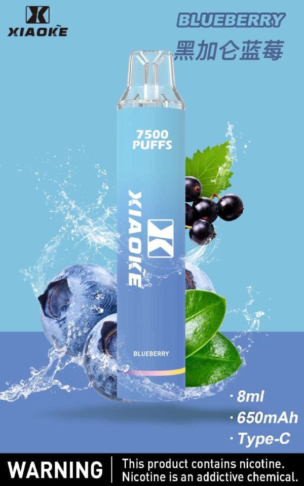 【XIAOKE梟客拋棄式】 新款一次性發光電子煙 多種口味電子霧化棒