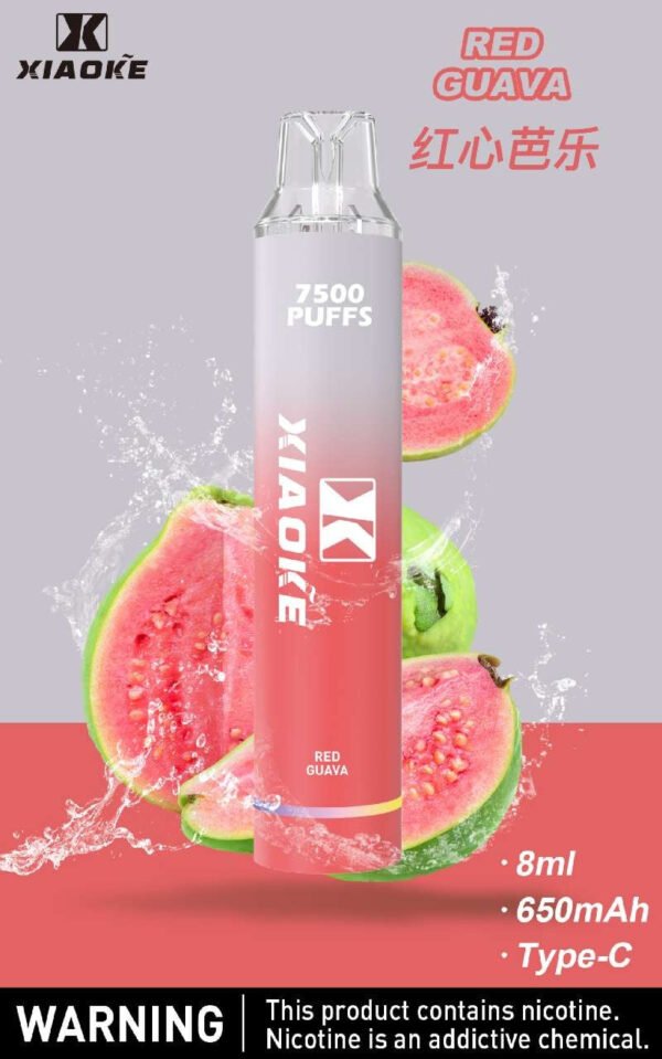 【XIAOKE梟客拋棄式】 新款一次性發光電子煙 多種口味電子霧化棒