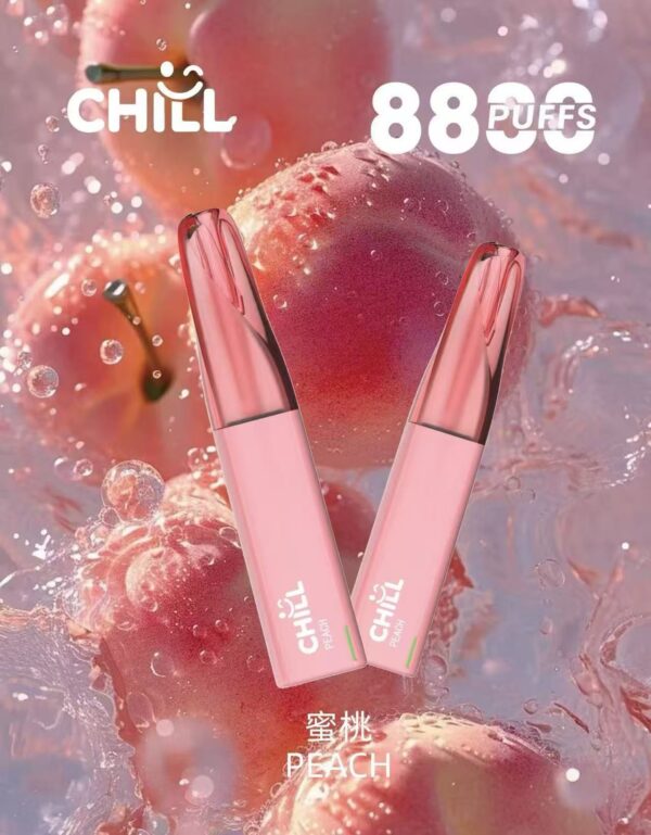 【CHILL8800口拋棄式】一次性8800口puffs電子煙/10種口味