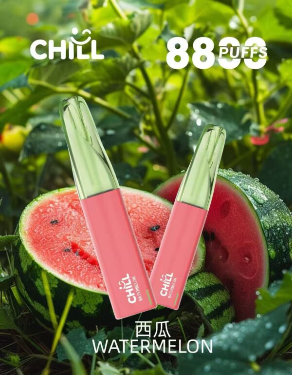【CHILL8800口拋棄式】一次性8800口puffs電子煙/10種口味