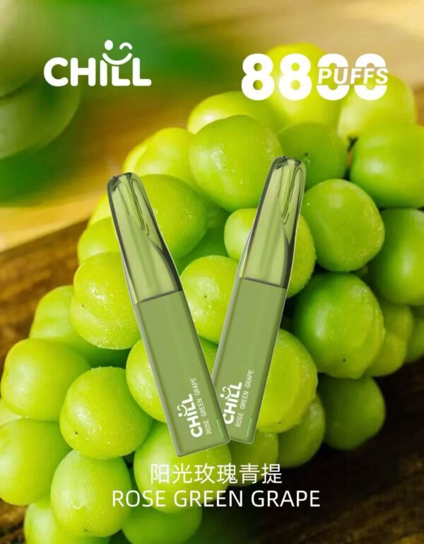 【CHILL8800口拋棄式】一次性8800口puffs電子煙/10種口味