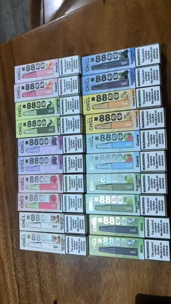 【CHILL8800口拋棄式】一次性8800口puffs電子煙/10種口味