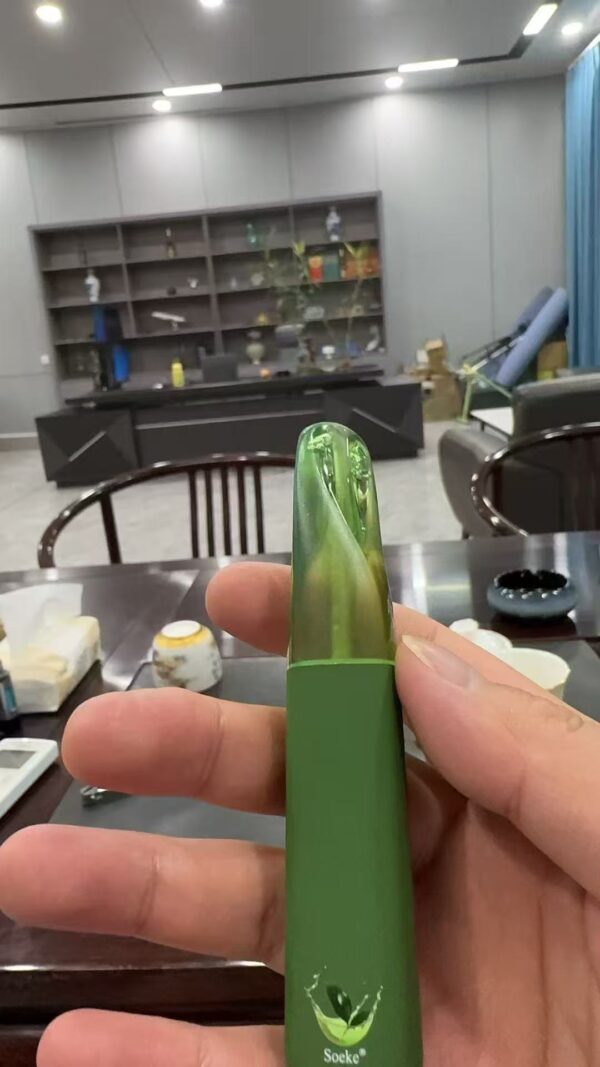 【CHILL8800口拋棄式】一次性8800口puffs電子煙/10種口味