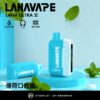 【LANA 16000口】一次性電子霧化器｜多達23種風味｜持久耐抽更省心