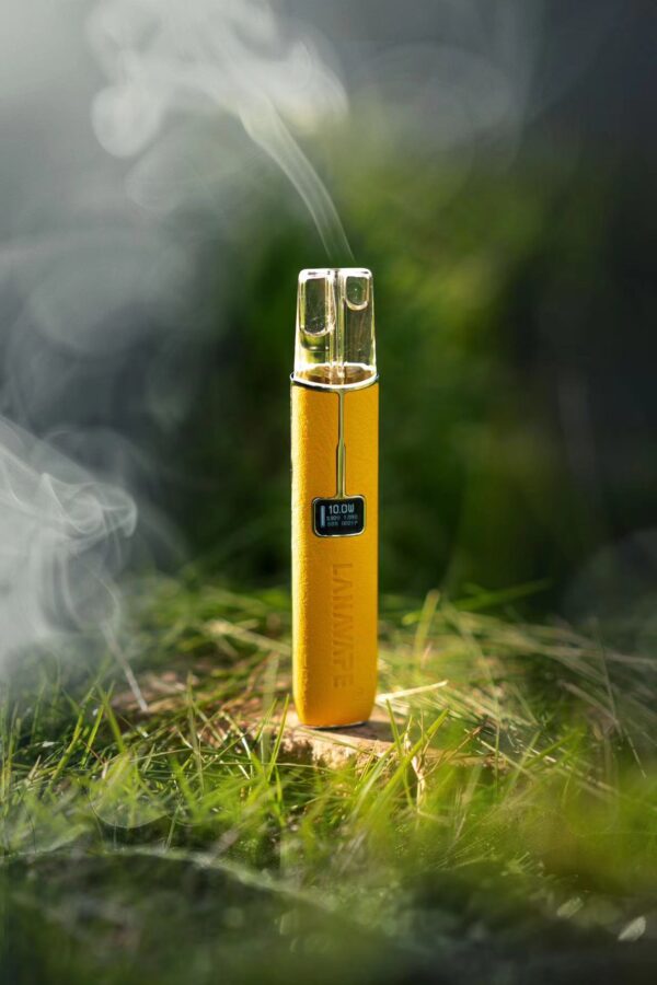 【LANA高級皮革主機】 兩檔調節8/10W 一代煙彈通用