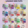 【LANA拋棄式5000口】✨大容量BAR電子煙🔥/TYPE-C充電 一次性電子煙