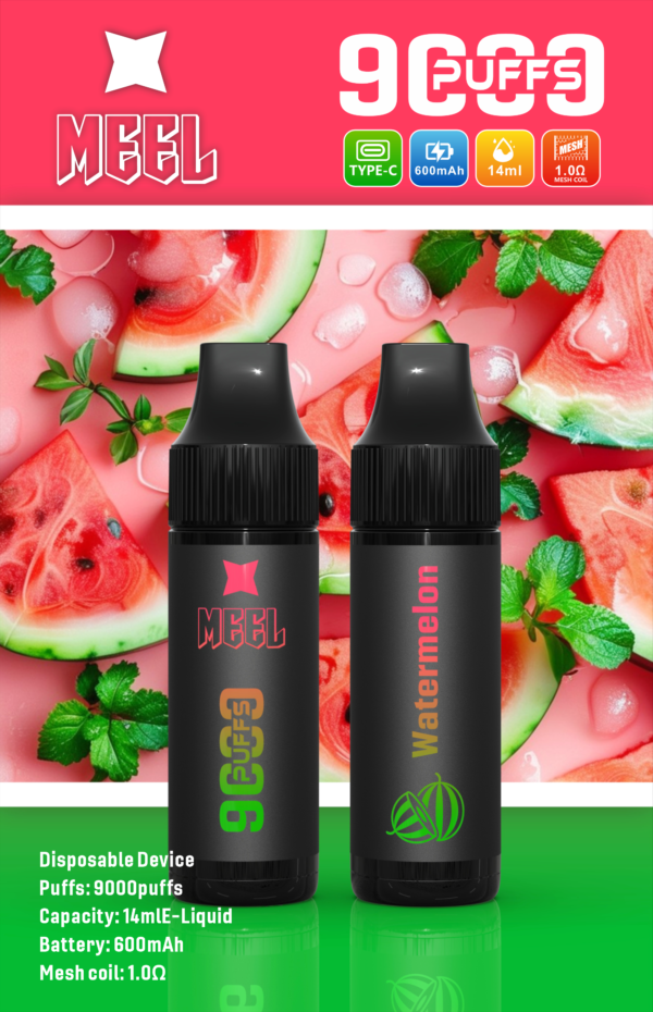8_0d1d1de7-be7b-46cb-b43c-bab90013a417 【Meel 9000口拋棄式】 新款puffs電子煙 9種口味
