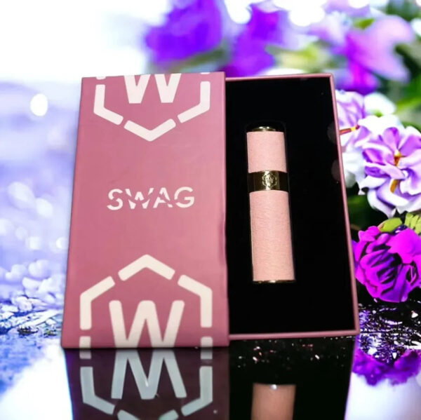 【SWAG皮革主機】台灣本土品牌🔥外觀精美❤️‍6色可選 一代煙彈通用